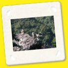 D12 Uttar Kashi (44).jpg